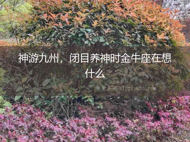 神游九州，閉目養神時金牛座在想什么