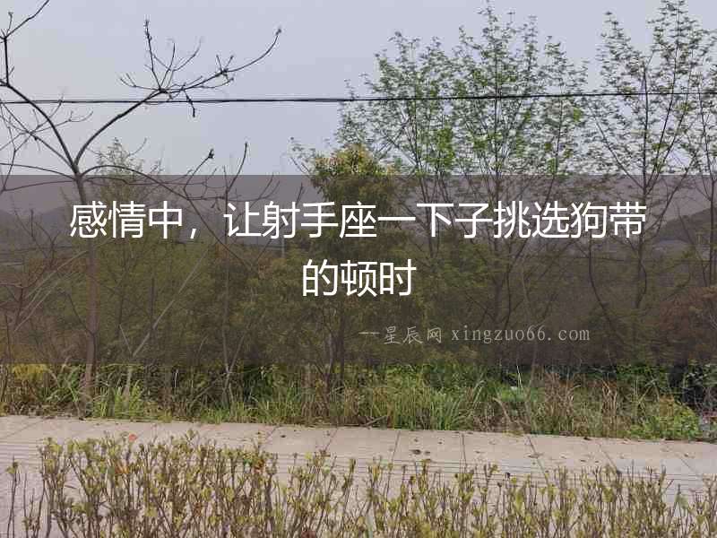 感情中，讓射手座一下子挑選狗帶的頓時(shí)