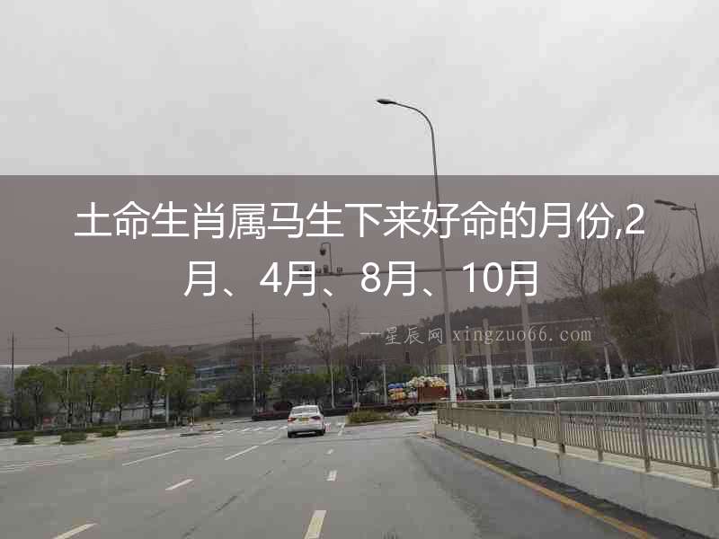 土命生肖屬馬生下來好命的月份,2月、4月、8月、10月