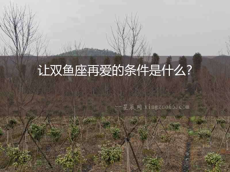 讓雙魚座再愛的條件是什么？