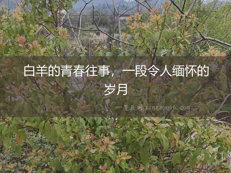 白羊的青春往事，一段令人緬懷的歲月