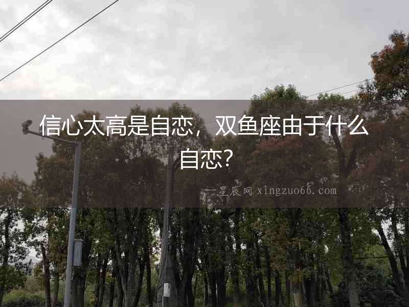 信心太高是自戀，雙魚座由于什么自戀？