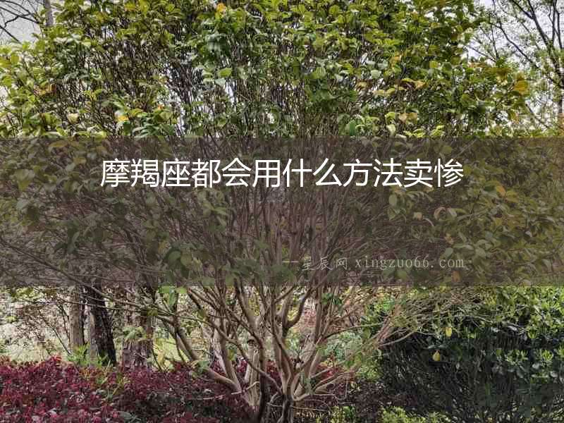 摩羯座都會(huì)用什么方法賣慘
