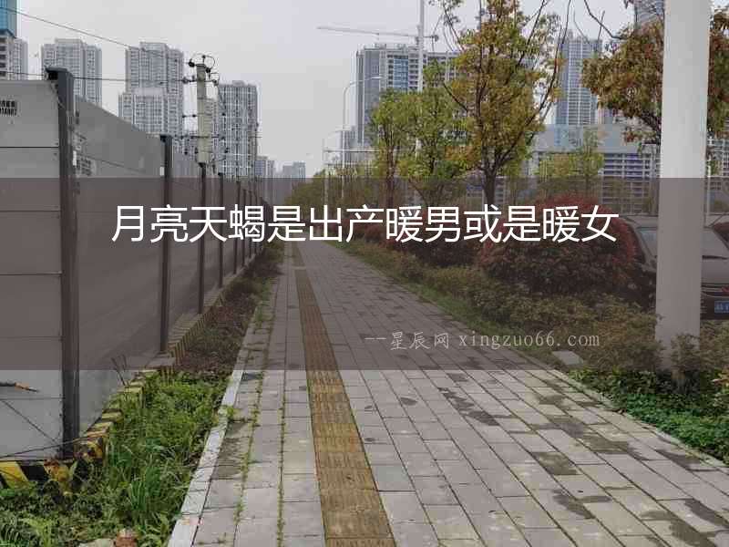 月亮天蝎是出產暖男或是暖女