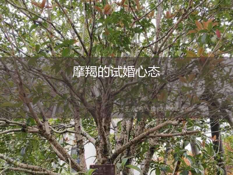摩羯的試婚心態