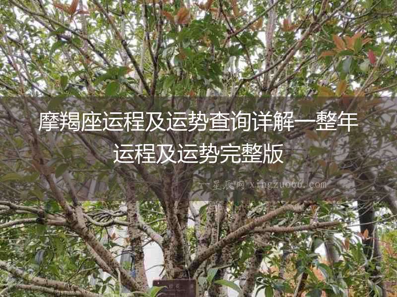 摩羯座運(yùn)程及運(yùn)勢查詢?cè)斀庖徽赀\(yùn)程及運(yùn)勢完整版