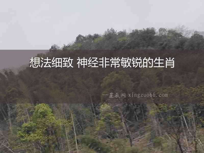 想法細致 神經非常敏銳的生肖