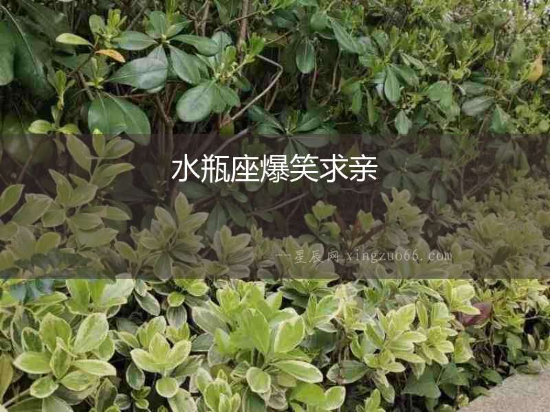 水瓶座爆笑求親