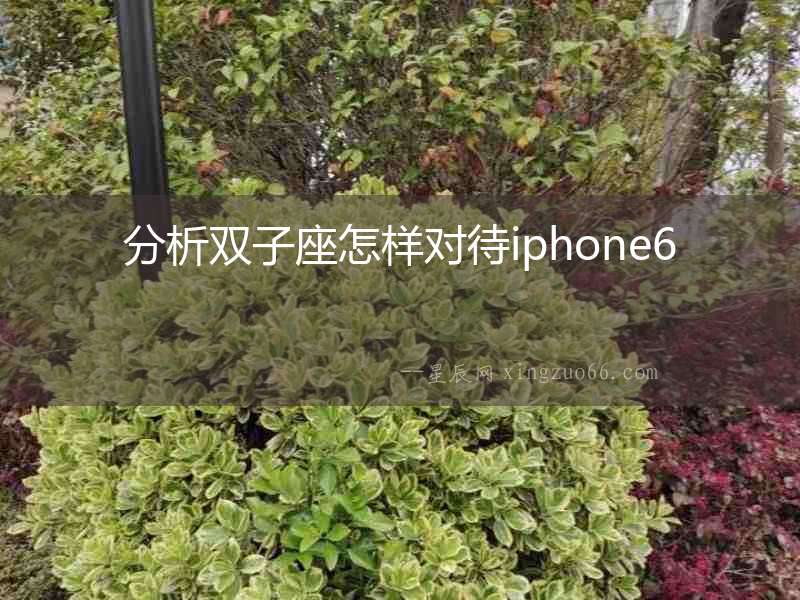 分析雙子座怎樣對(duì)待iphone6