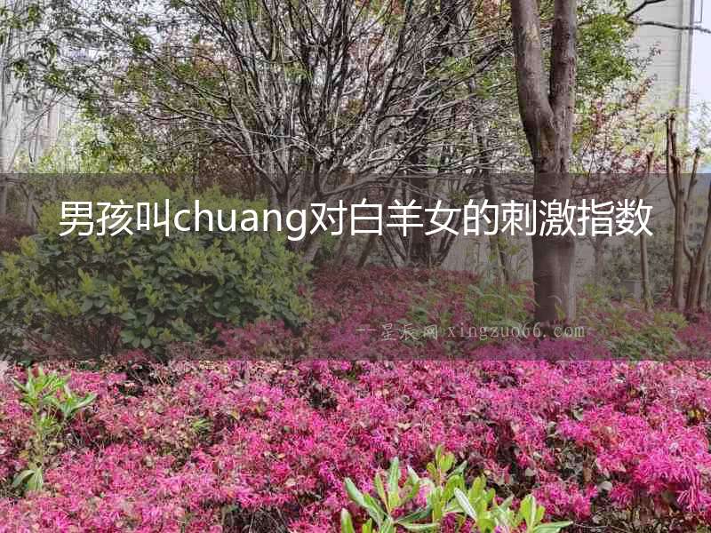 男孩叫chuang對白羊女的刺激指數(shù)