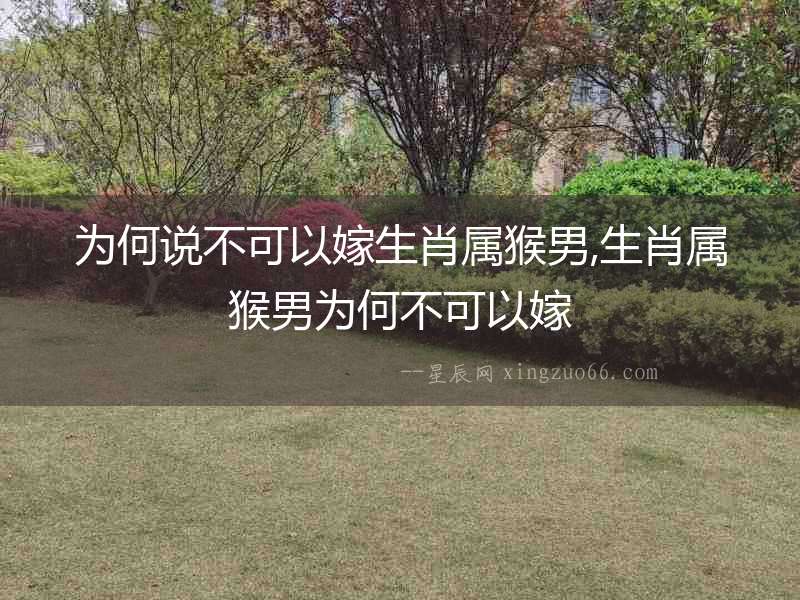 為何說不可以嫁生肖屬猴男,生肖屬猴男為何不可以嫁