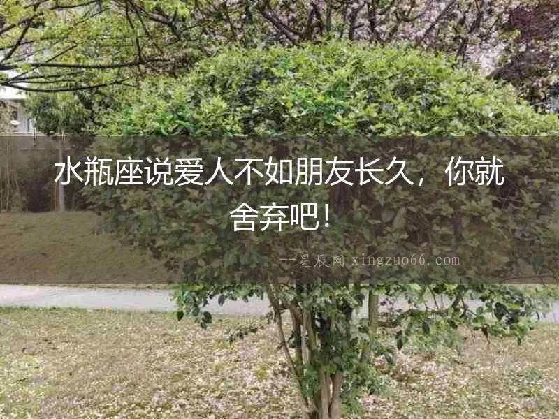 水瓶座說愛人不如朋友長久，你就舍棄吧！