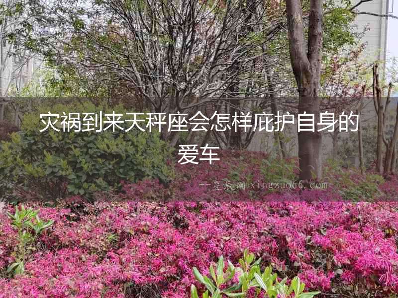 災禍到來天秤座會怎樣庇護自身的愛車