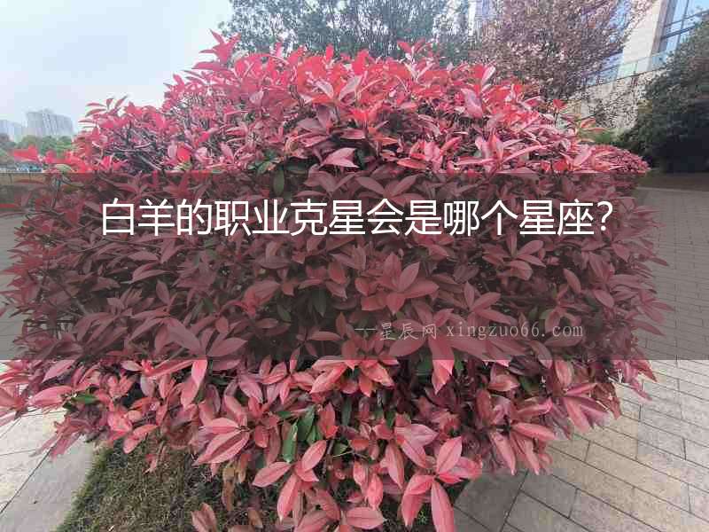 白羊的職業克星會是哪個星座？