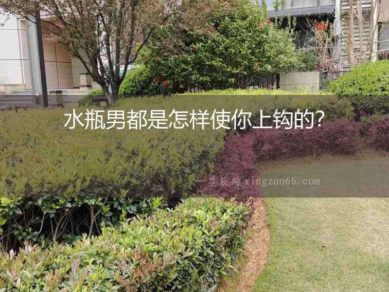 水瓶男都是怎樣使你上鉤的？