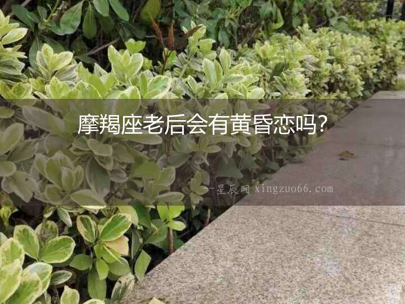 摩羯座老后會有黃昏戀嗎？