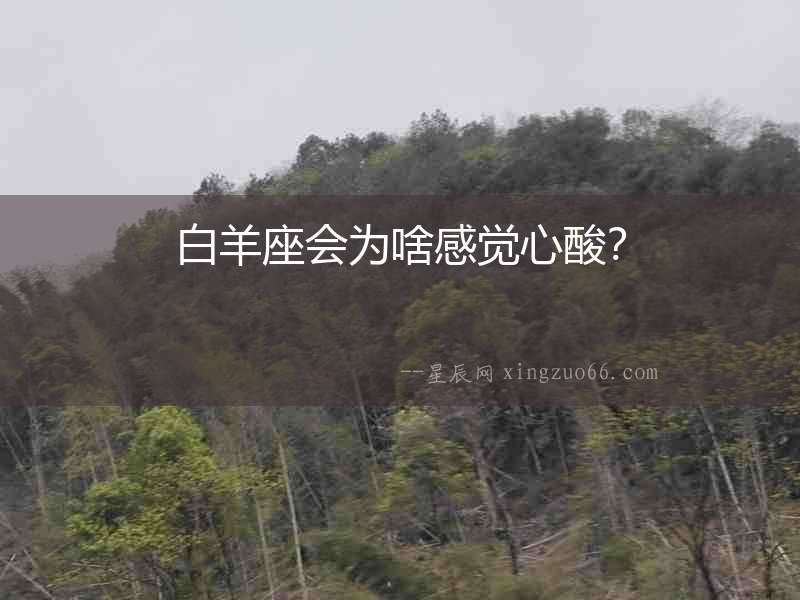 白羊座會為啥感覺心酸？