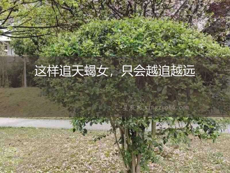 這樣追天蝎女，只會越追越遠