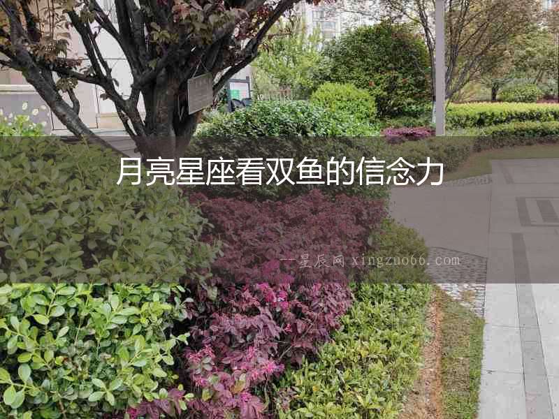 月亮星座看雙魚的信念力