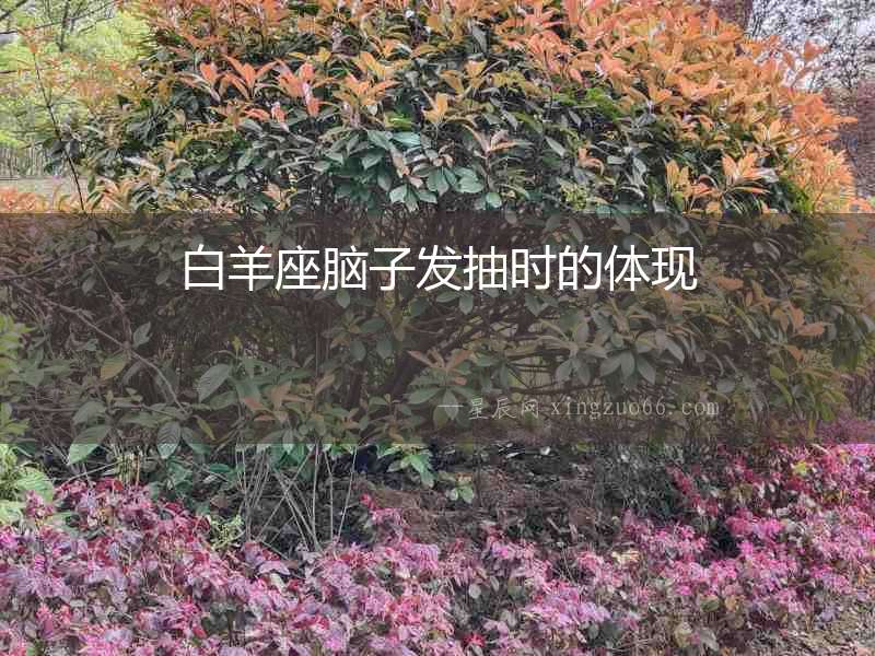 白羊座腦子發抽時的體現