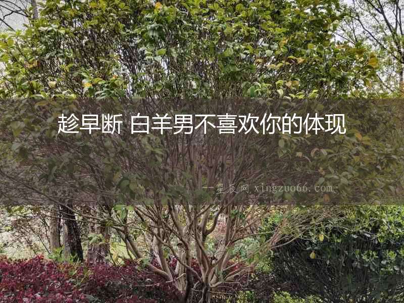 趁早斷 白羊男不喜歡你的體現