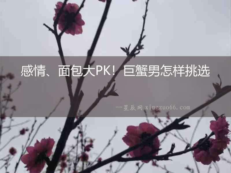 感情、面包大PK！巨蟹男怎樣挑選