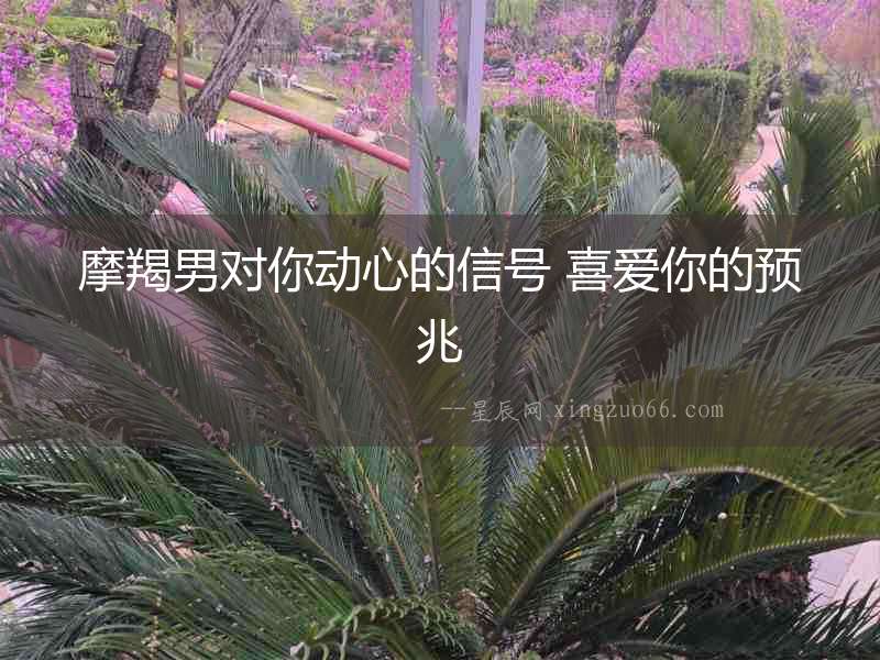 摩羯男對你動心的信號 喜愛你的預兆