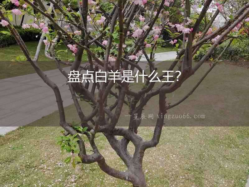 盤點白羊是什么王？