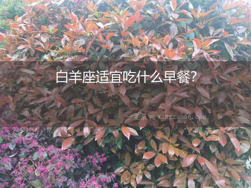 白羊座適宜吃什么早餐？