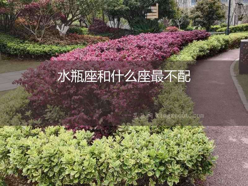 水瓶座和什么座最不配