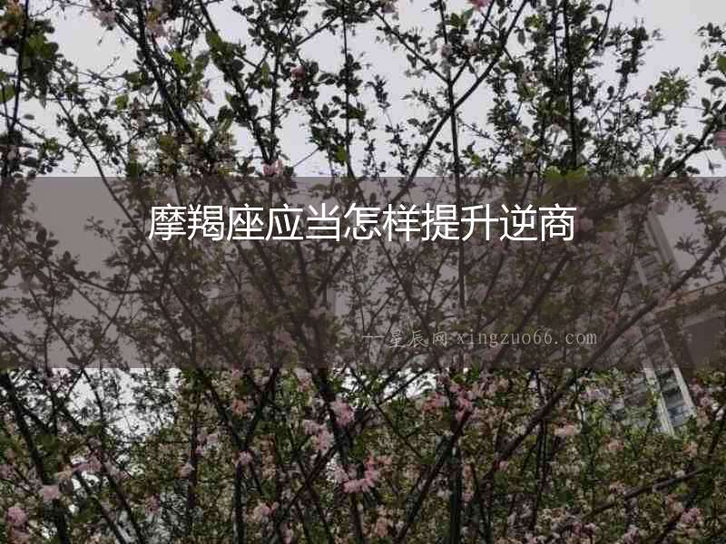 摩羯座應(yīng)當(dāng)怎樣提升逆商