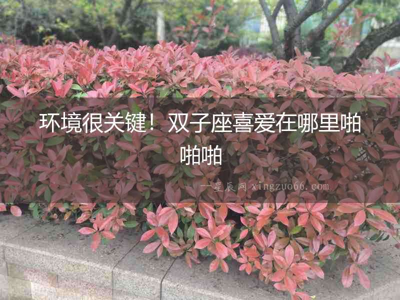 環境很關鍵！雙子座喜愛在哪里啪啪啪