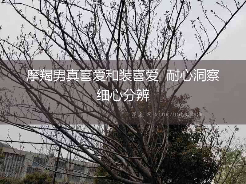 摩羯男真喜愛和裝喜愛  耐心洞察細心分辨