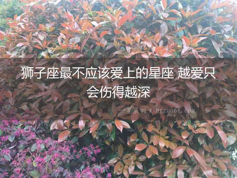 獅子座最不應該愛上的星座 越愛只會傷得越深