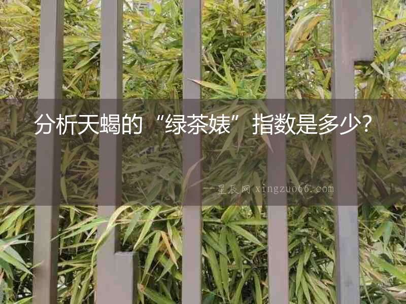 分析天蝎的“綠茶婊”指數(shù)是多少？