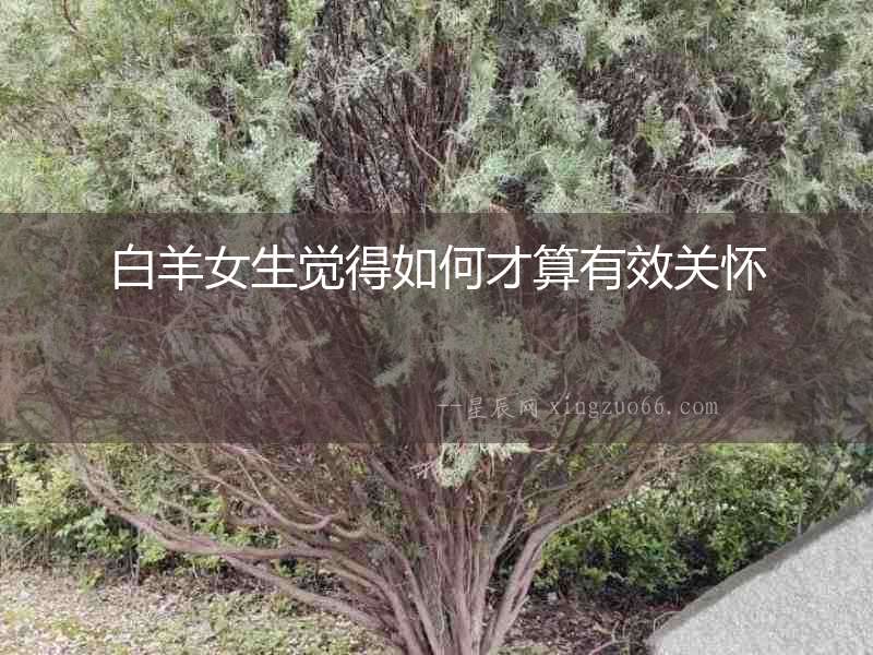 白羊女生覺得如何才算有效關(guān)懷