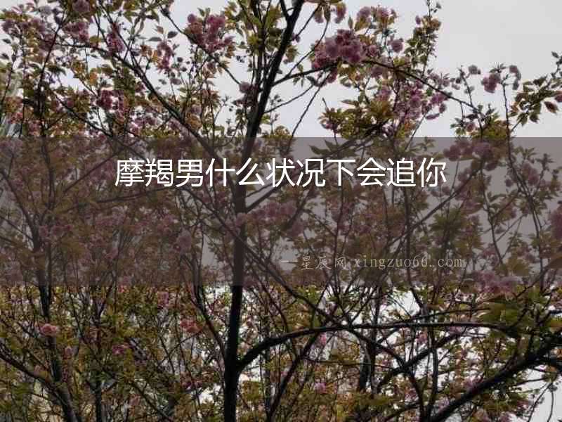 摩羯男什么狀況下會追你