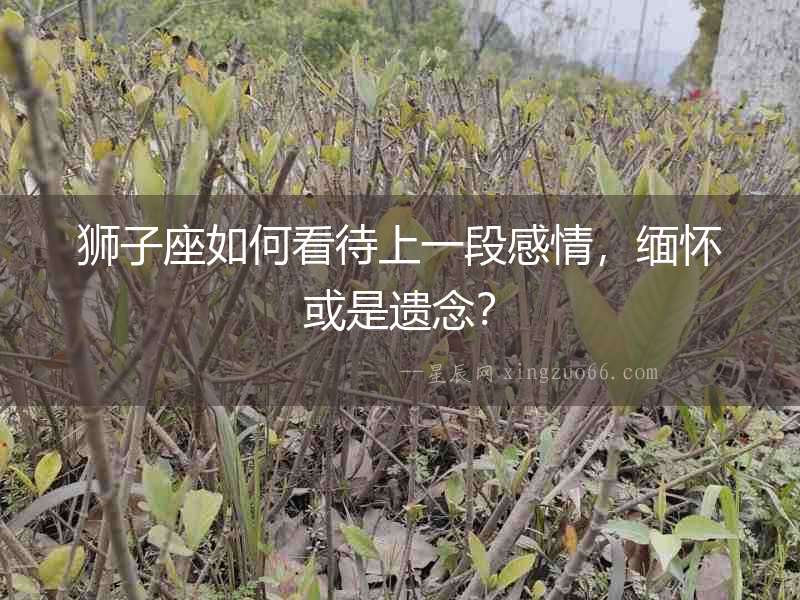 獅子座如何看待上一段感情，緬懷或是遺念？
