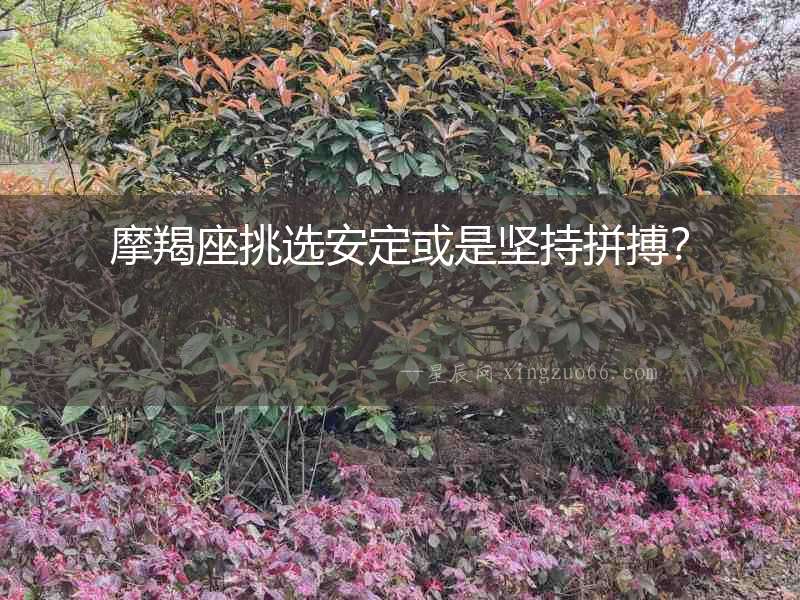 摩羯座挑選安定或是堅持拼搏？