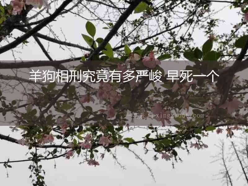 羊狗相刑究竟有多嚴峻 早死一個