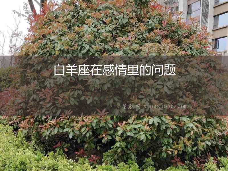 白羊座在感情里的問(wèn)題