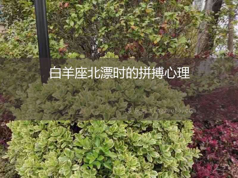 白羊座北漂時(shí)的拼搏心理