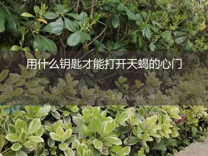 用什么鑰匙才能打開天蝎的心門