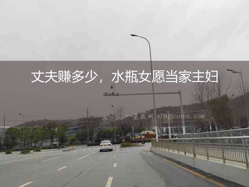 丈夫賺多少，水瓶女愿當家主婦