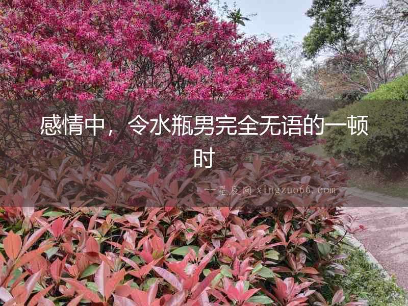 感情中，令水瓶男完全無語的一頓時