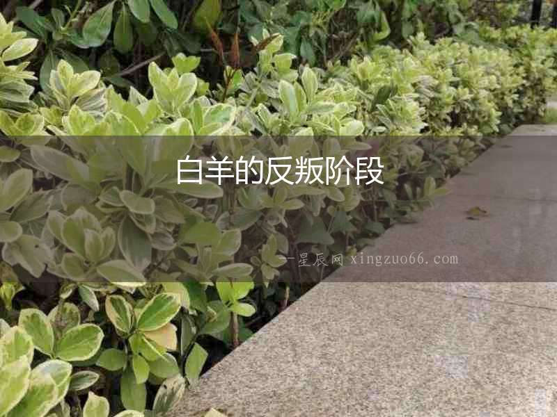 白羊的反叛階段