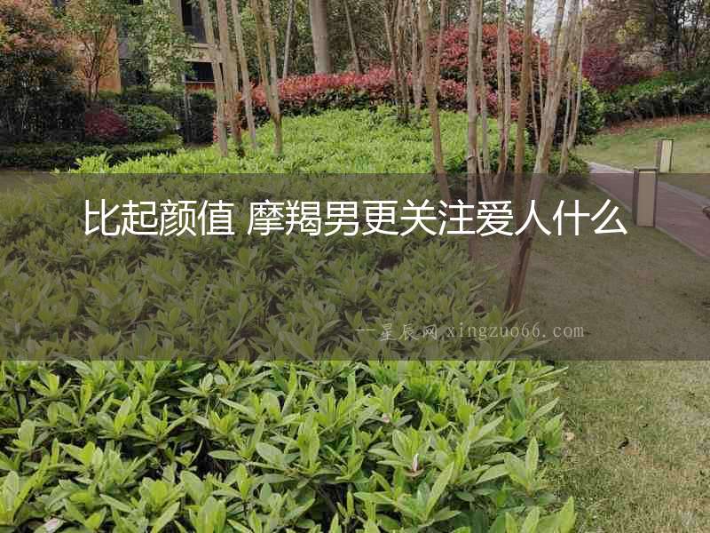 比起顏值 摩羯男更關(guān)注愛人什么