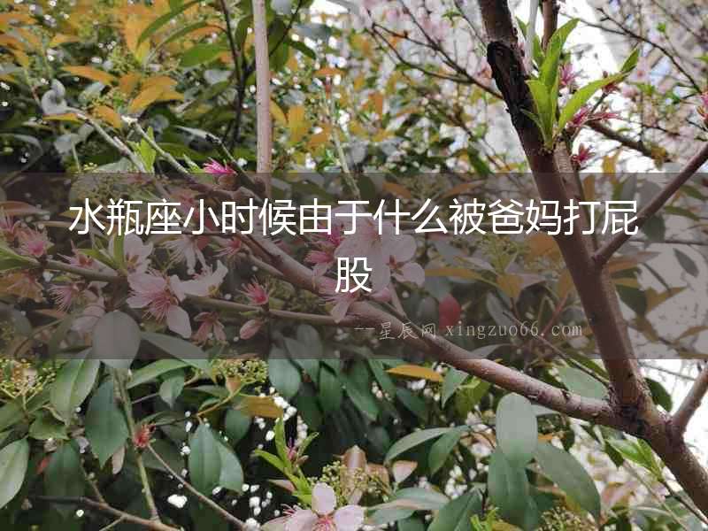 水瓶座小時候由于什么被爸媽打屁股
