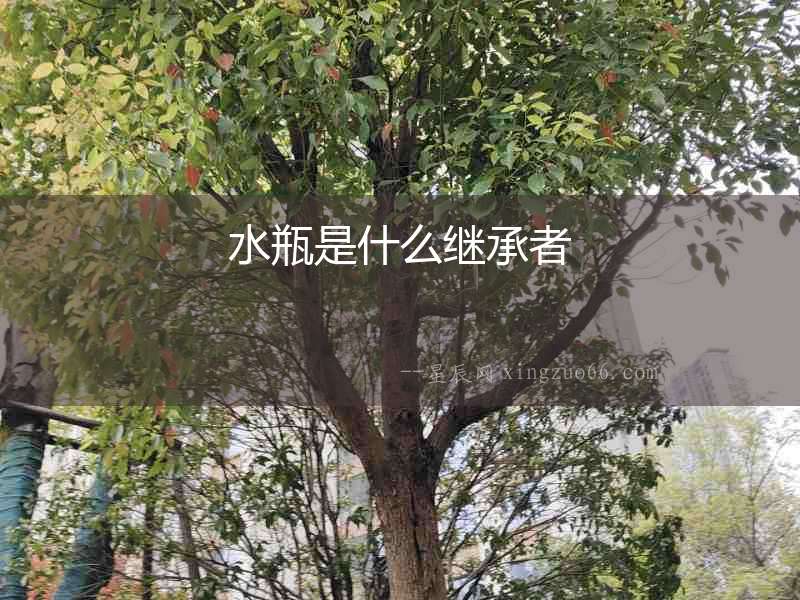 水瓶是什么繼承者