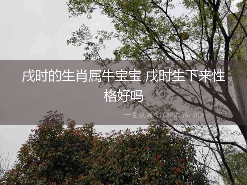 戌時的生肖屬牛寶寶 戌時生下來性格好嗎